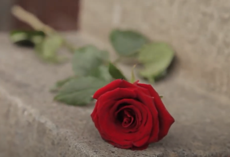 Song of the Rose – Video